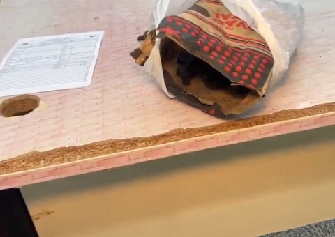 'Neguinho' é preso com saco de carvão recheado de drogas em Manaus