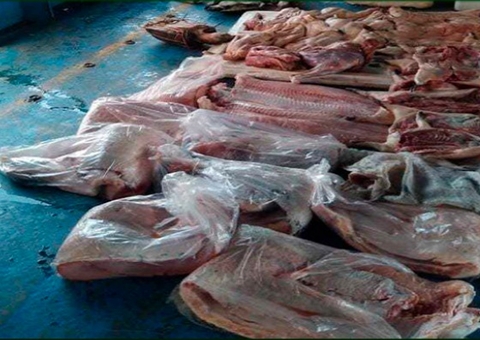 Dupla é presa com mais de 250kg de carne de caça em barco no Amazonas