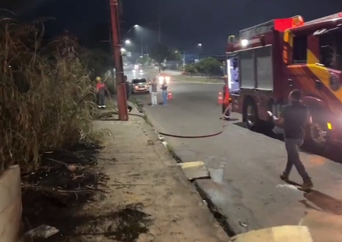 Depósito de peixe fica destruído ao pegar fogo em Manaus