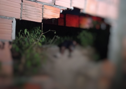 Jurado de morte, homem é assassinado a terçadadas em Manaus