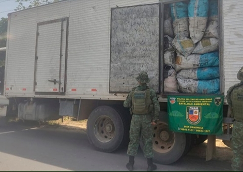 Polícia apreende caminhão com carvão vegetal ilegal na AM 010