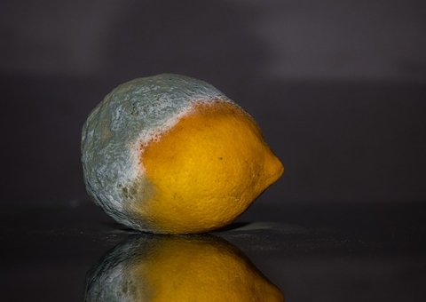 Polícia descobre casa com 4 toneladas de alimentos vencidos ao procurar por assaltantes no Tarumã