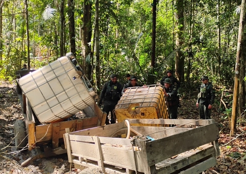 Polícia flagra desmatamento ilegal em Manicoré