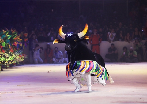 Boi Caprichoso abre primeira noite do Festival de Parintins; vídeo