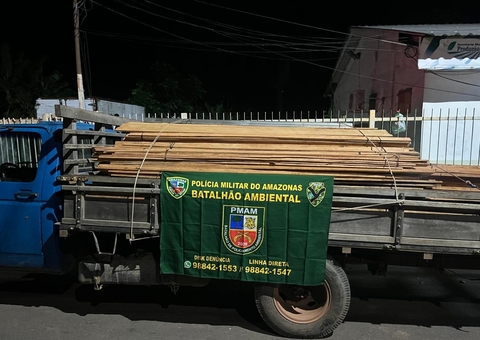 Madeira avaliada em R$ 45 mil é apreendida na rodovia AM-070