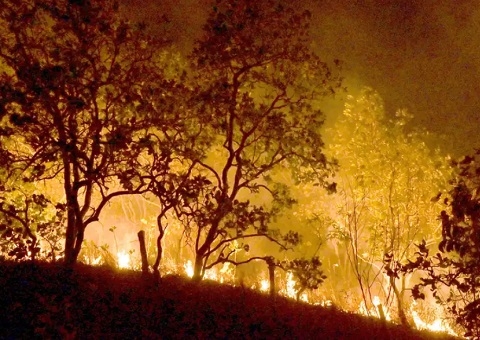 Incêndios: governo vai concentrar ações em 21 municípios da Amazônia