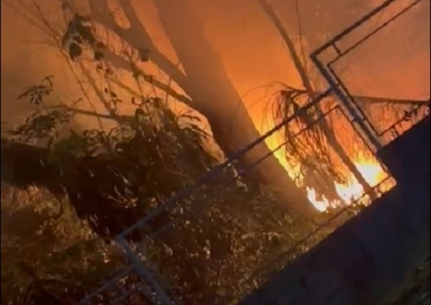 Incêndio atinge área de mata na Fundação Dr Thomas; vídeos 