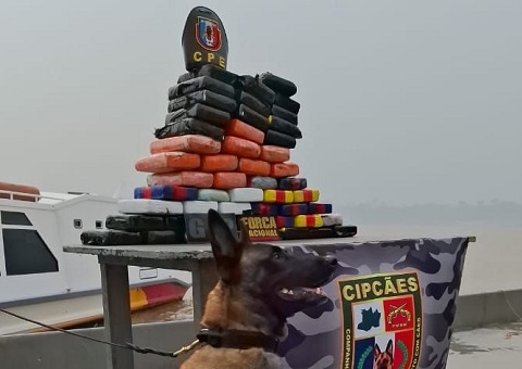 Dois homens são presos com 58 kg de drogas em porão de barco em Coari