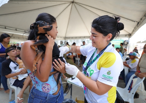 Cães e gatos podem ser castrados de graça no bairro Grande Vitória; saiba como