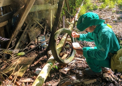 Sobe para 4 número de mortes por dengue no Amazonas