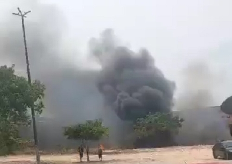 Área de mata perto da Escola de Samba Reino Unido pega fogo; vídeo