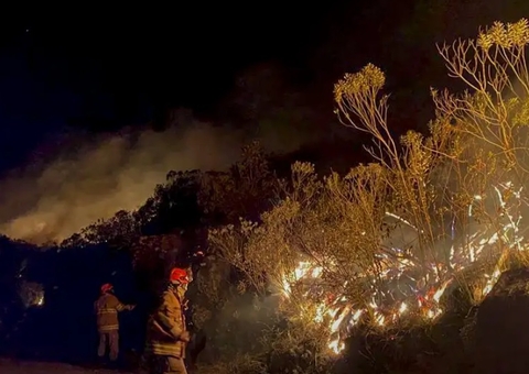 Delegado da PF diz que há indícios de ação coordenada em incêndios