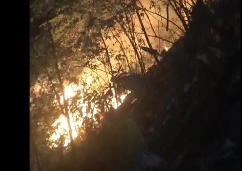 Incêndio se espalha por área de mata no bairro Jorge Teixeira; vídeo