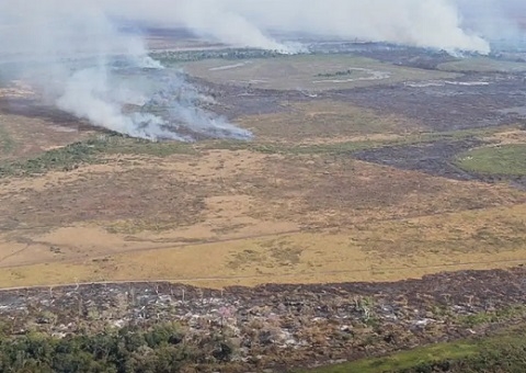 Amazonas bate recorde por emissão de gases por incêndios