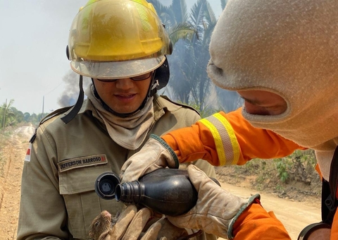 Sobe para 19,3 mil focos de incêndio registrados no Amazonas
