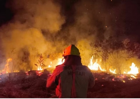 Amazonas registrou 19,9 mil focos de incêndio desde junho deste ano
