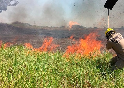 Sobe para 20,7 mil focos de incêndio registrados no Amazonas