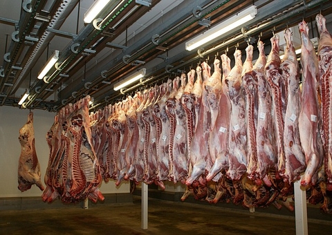 Dono de frigorífico é preso após planejar matar concorrente em Humaitá