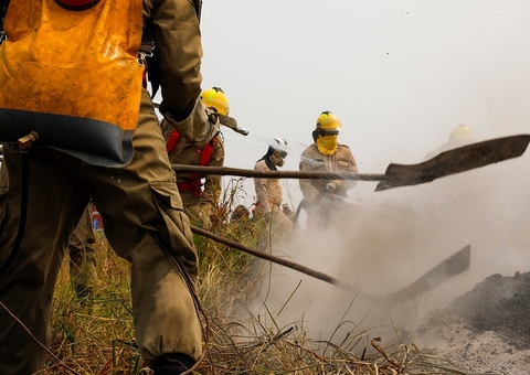 Amazonas registra mais de 21,7 mil focos de incêndio