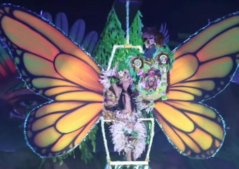 Peixes-Boi Anavilhanas e Jaú agitam público durante festival em Novo Airão