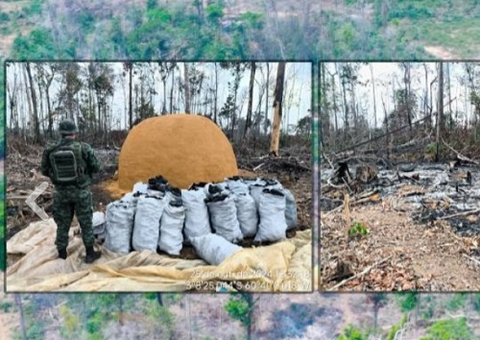 Homem é preso com carvão ilegal em Novo Airão