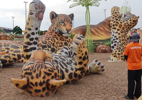 Parque Gigantes da Floresta já recebeu mais de 2 milhões de visitantes
