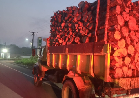 Dupla é presa com cerca de 34 metros cúbicos de madeira nativa em Manacapuru