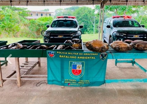 Mulher é presa ao tentar vender 30 quelônios em feira do Cacau Pirêra