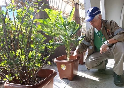 Mais de 10 bairros de Manaus apresentam alto risco para Aedes aegypti
