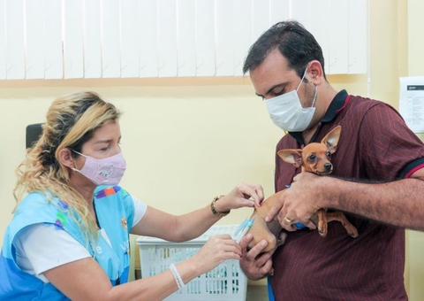 Campanha de vacinação antirrábica será prorrogada até janeiro em Manaus