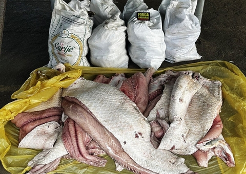 Polícia apreende mais de 500 kg de pescado irregular em Coari