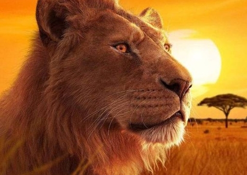 'Mufasa – O Rei Leão' ganha sessão adaptada para famílias com bebês em Manaus