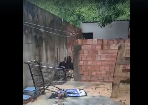 Desbarrancamento atinge casas durante temporal na Cidade Nova; vídeos