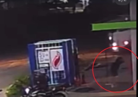 Fotógrafo é suspeito de espancar cachorra recém-parida em Manaus