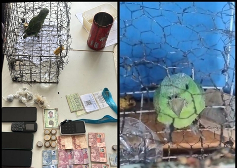 Três pessoas são presas por tráfico de drogas e maus-tratos a animais em Urucurituba