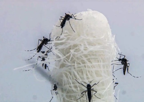 Ministério da Saúde amplia ações de enfrentamento à dengue