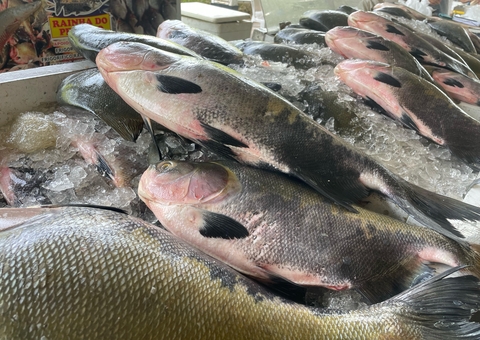 Feirão do Pescado vende mais de 30 toneladas de peixes em 3 dias em Manaus