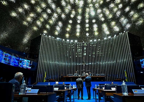 Senado aprova PL que proíbe tatuagens e piercings em cães e gatos