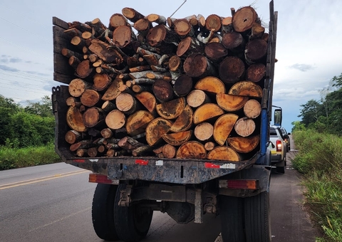 Caminhão é apreendido por transportar madeira ilegal em Iranduba