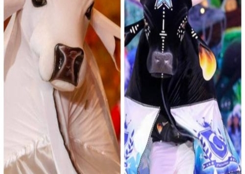 Bois Garantido e Caprichoso recebem repasse de R$ 10 milhões do Governo do Amazonas