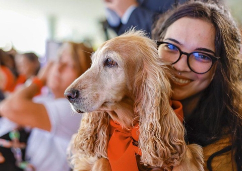 Sinpatinhas: mais de 620 mil animais já têm RG no Brasil