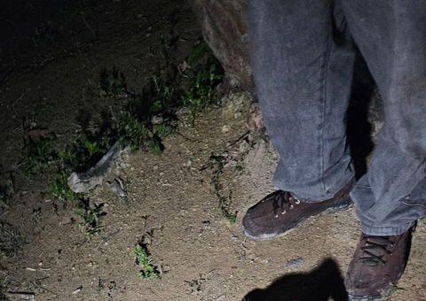 Pitbull é morto a terçadadas ao atacar cachorro na Cidade Nova