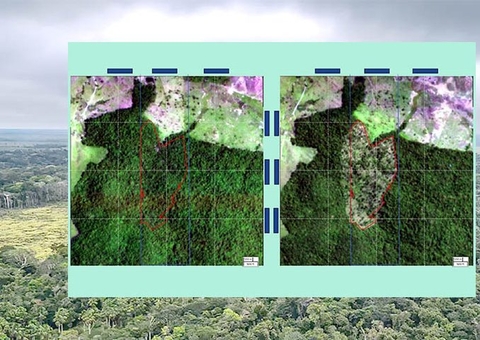 BNDES barra R$ 806 milhões em créditos que iriam a desmatadores ilegais