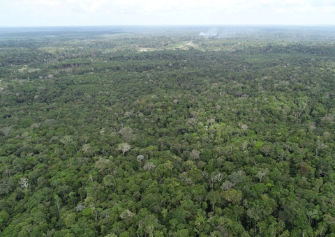 Amazonas registra queda de 21,09% no desmatamento e 37,5% nos focos de calor