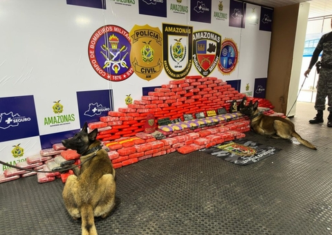 Amazonas registra aumento de 51,2% na apreensão de drogas em 2024, aponta Mapa da Segurança