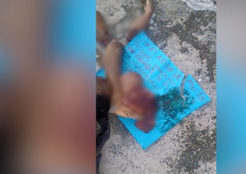 Cabeça, pernas e braços são encontrados próximo ao Musa: 'Mexeu com a tropa'