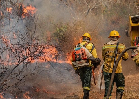 Brasil registra queda de 65,8% nas áreas queimadas e de 46,4% dos focos de calor