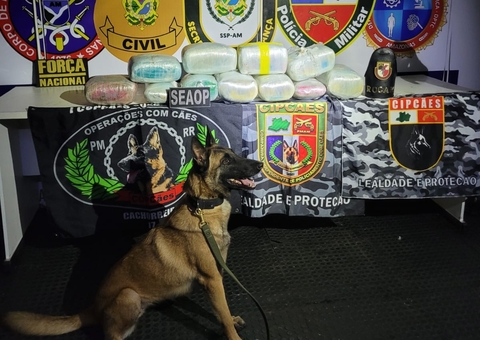 Mais de 20 kg de drogas escondidos em caixas com peixe são apreendidos em Coari