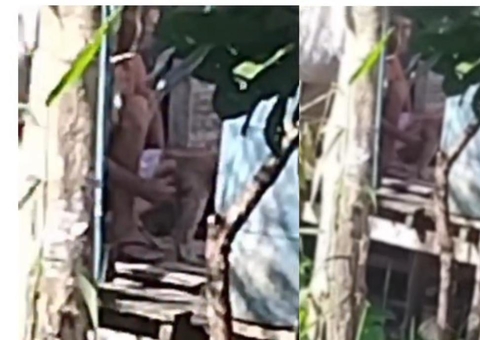 Homem é suspeito de estuprar cadela em Tefé