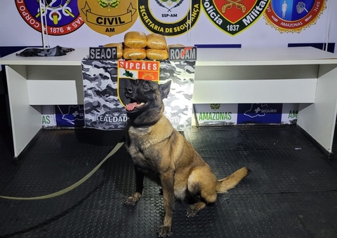 Mulher é presa com 12kg de drogas escondidos em mala em Coari